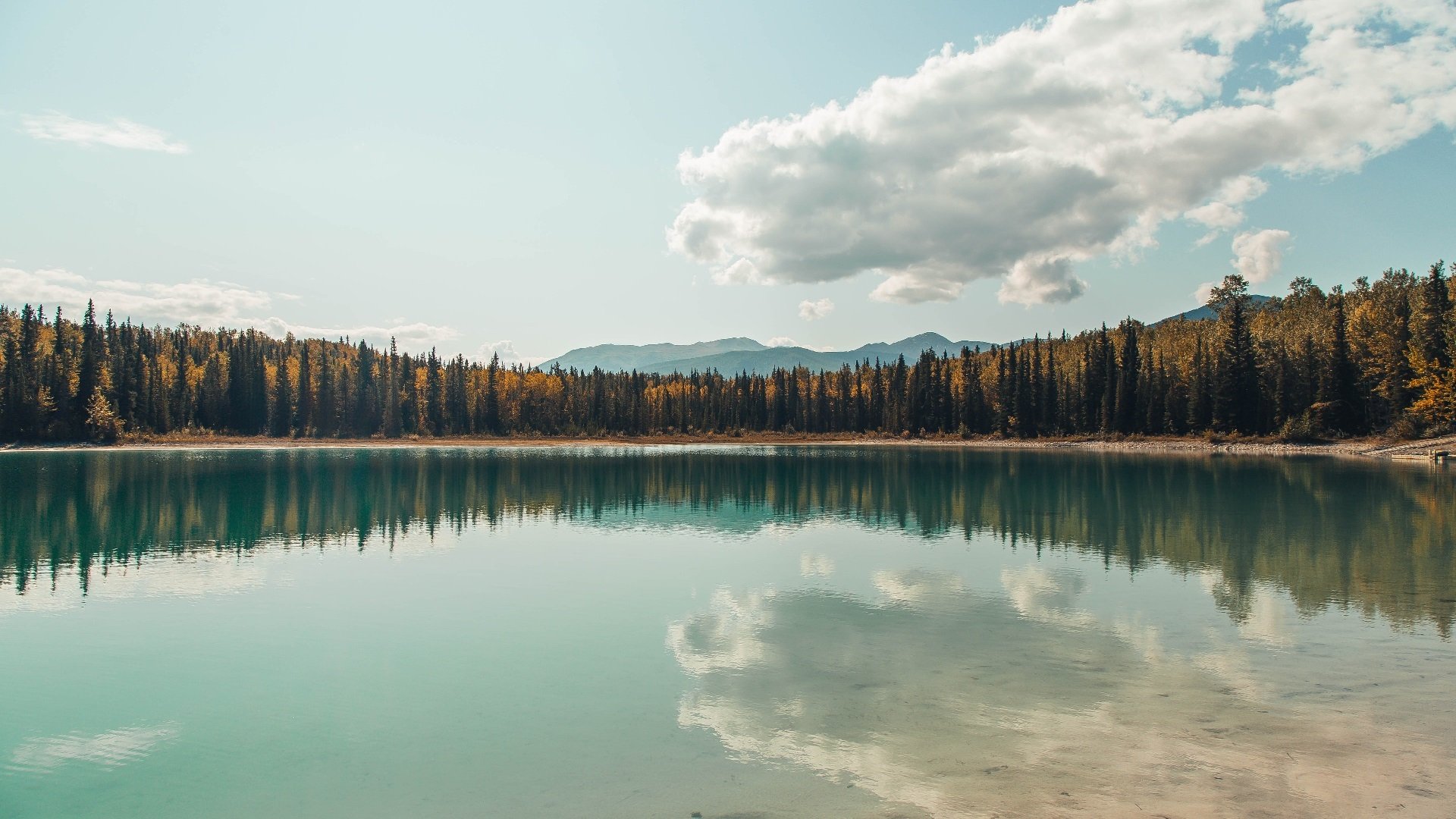 维克托·文班亚马成为NBA未来之星,文班亚马臂展