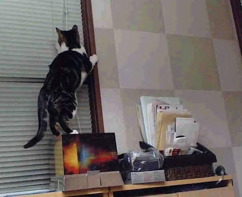 爱游戏全站-北京首钢球员竞技状态不断提升，首钢 球员