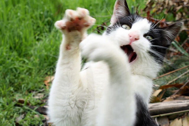 国足青训实现突破 球员技惊四座获得国际关注，国足青训计划