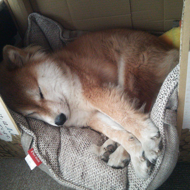 广场舞促进民族团结，舞蹈促进民族团结