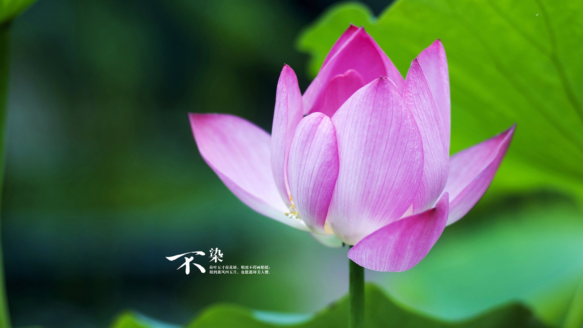 ayx-是否应加强球员赛后采访质量监督