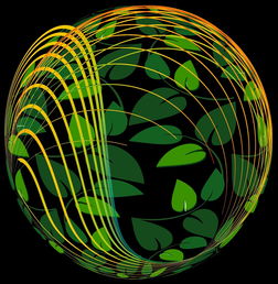 爱游戏-未来青训：生态系统构建助推足球强国梦，足球生态系统建设