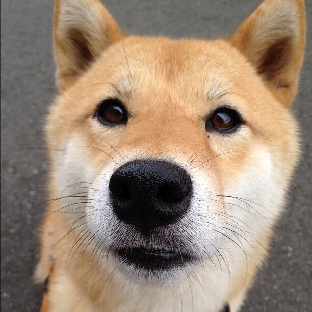 高校体育智能监控系统设计与应用，高校体育gps