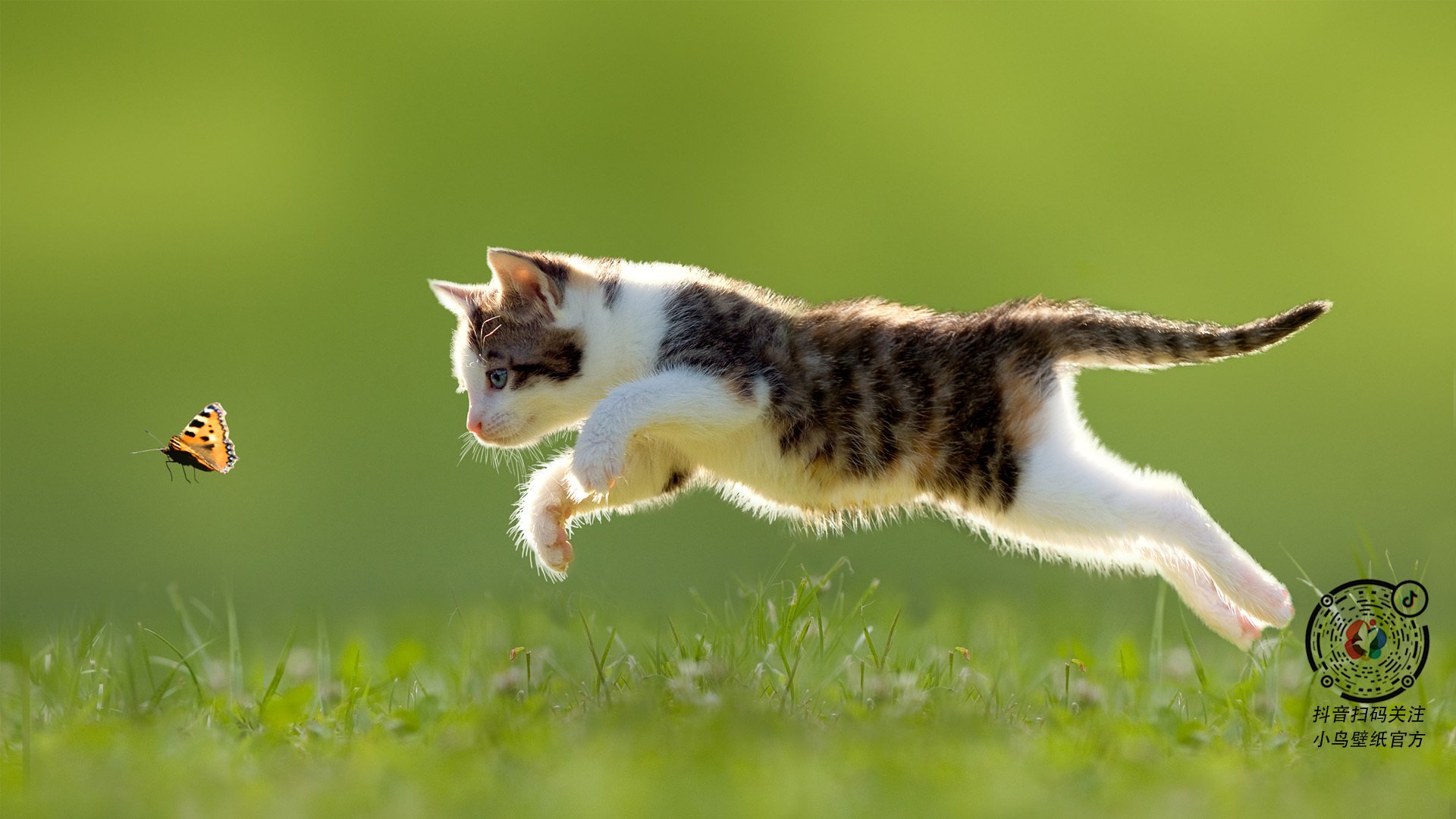 中超联赛国家队平局 球员状态有所回暖，中超国家队大名单