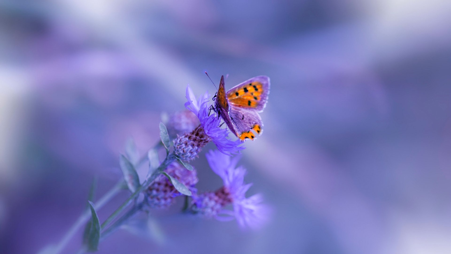 爱游戏APP-出发与转身衔接流畅，节省时间